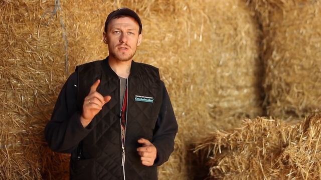 Обработайте коров против глистов! смотреть онлайн