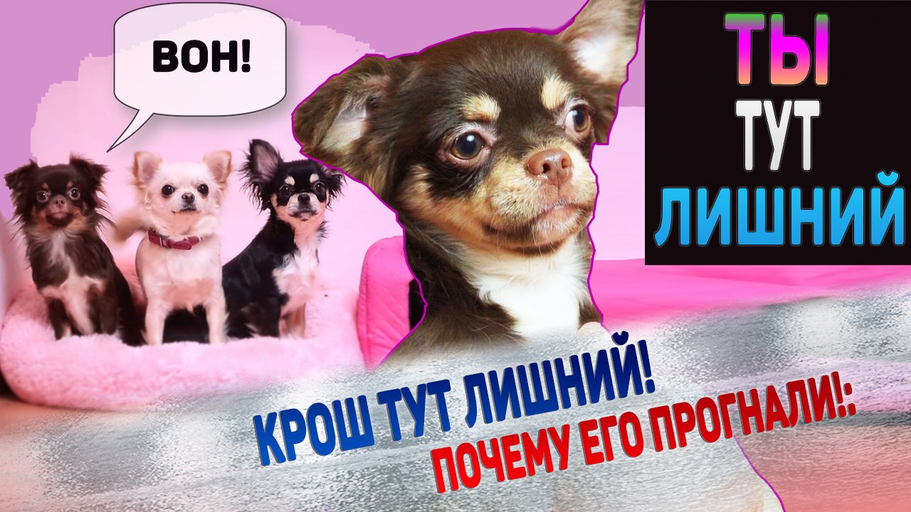 Крош всем надоел! Виноват! Его изгнали. смотреть онлайн