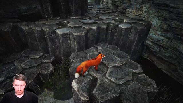 1# СКАНДИНАВСКИЙ ЛИС ▶ Spirit of the North смотреть онлайн