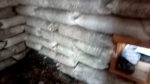 Сарай из мешков. Весна 2023