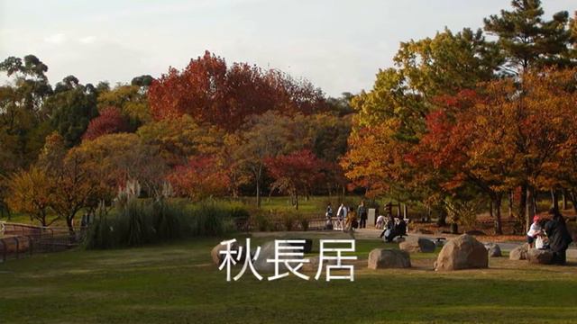 Cipriano de Rore／Missa Doulce memoire-KYRIE смотреть онлайн