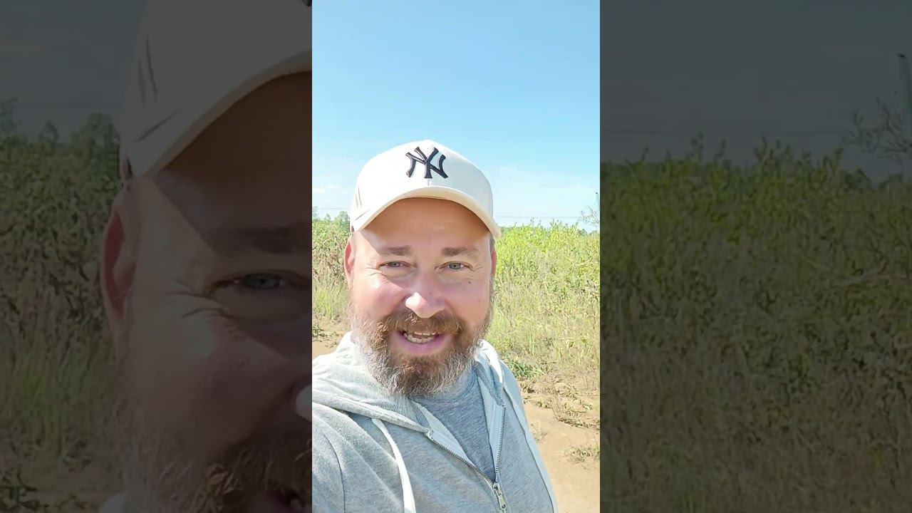 Куда можно поехать в отпуск из России без загранпаспорта #путешествия смотреть онлайн