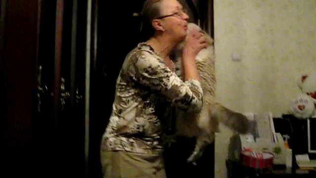 Невские маскарадные кошки смотреть онлайн
