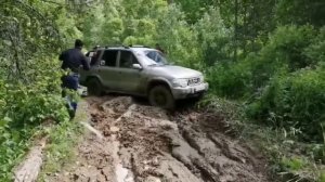 Киа спортейдж 1 и тайгер.