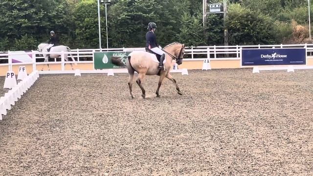 Medium 76 Prestige EC смотреть онлайн