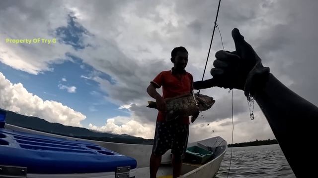 Hunting BLACK BASS, GROUPER, SPOTTED TREVALLY, GREEN JOB FISH смотреть онлайн