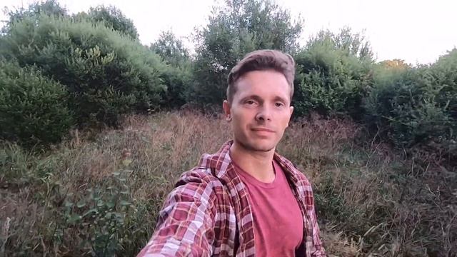 Прогулка верхом на закате. Красивая классическая музыка. Лошади, закат, природа. смотреть онлайн