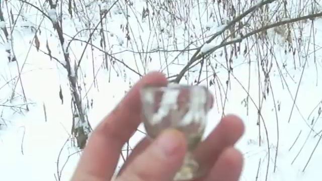 Заброшенный сад смотреть онлайн