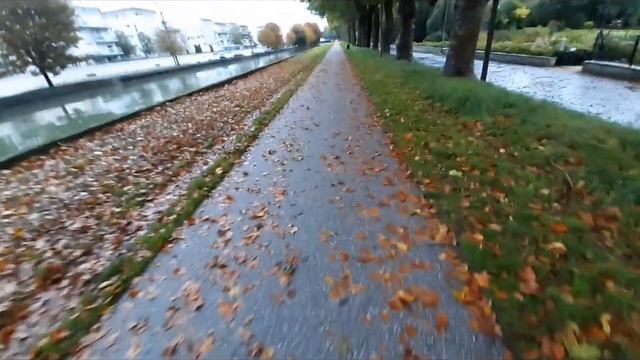 Французская осень под стихи Поля Верлена смотреть онлайн