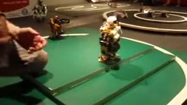 Twiki goes to Sonarmatica 2010 смотреть онлайн