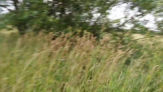 Знакомства с деревней Сельцы смотреть онлайн