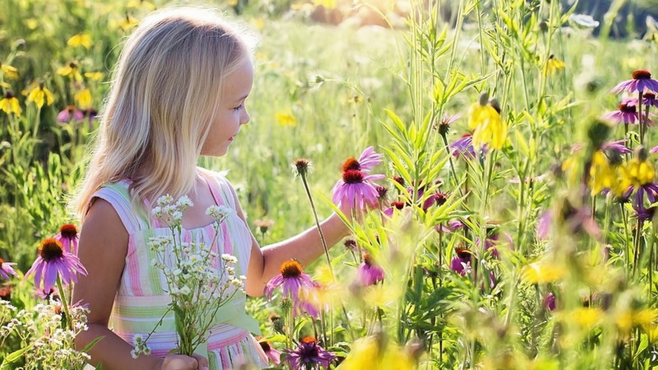 Детство, ты меня не покидай... смотреть онлайн