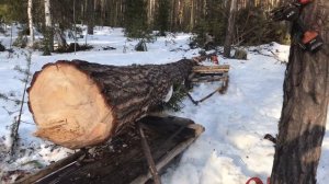 Погрузка 6 метрового бревна