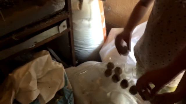 Контактный зоопарк часть 3 смотреть онлайн