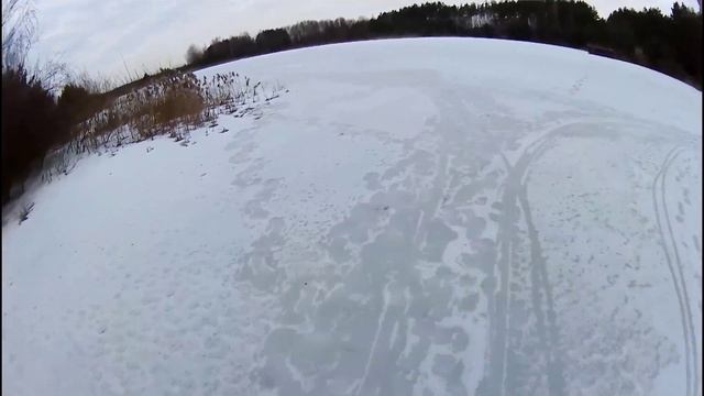 И снова Сергей показывает как ЗАЙЦЫ сеют белые грибы смотреть онлайн