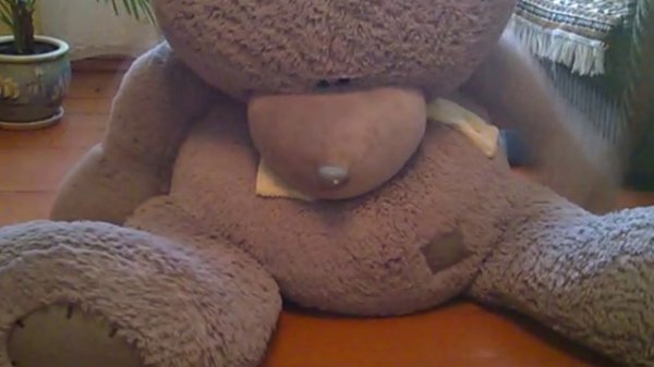 Teddy Bear, My Teddy Bear