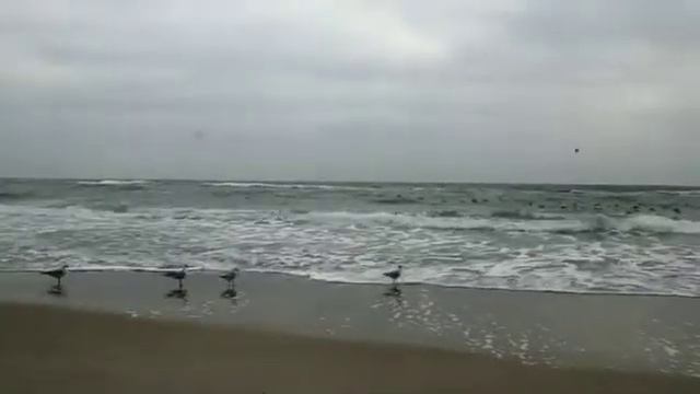 Море - это жизнь! смотреть онлайн