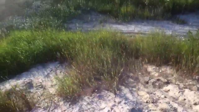 Вечерком перед сном=)