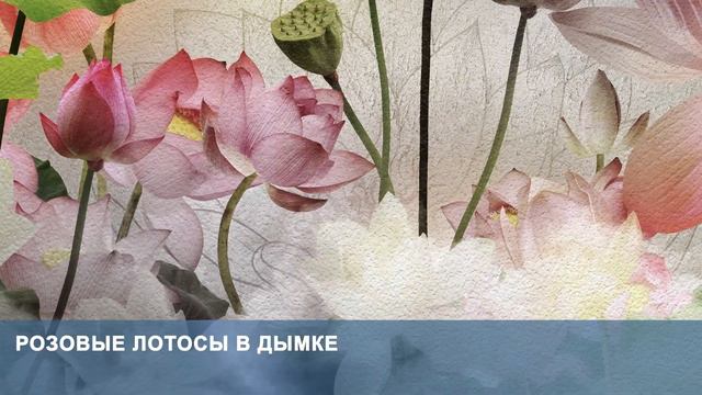 3D Фотообои «Розовые лотосы в дымке» смотреть онлайн