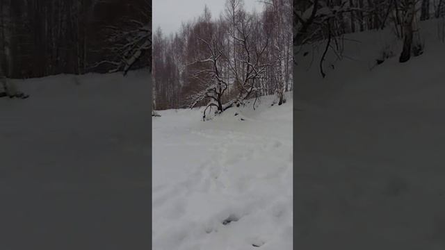 Рыбалка на Рыбинке 01.02.2019 смотреть онлайн