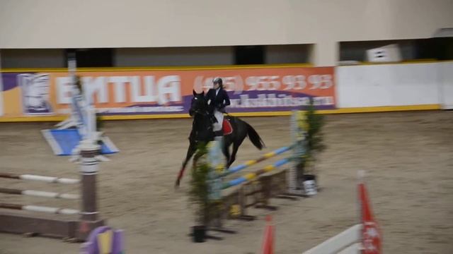 Битца (Кубок Федерации г.Москвы) зачёт для лошадей 5-6 лет(ноябрь 2013)