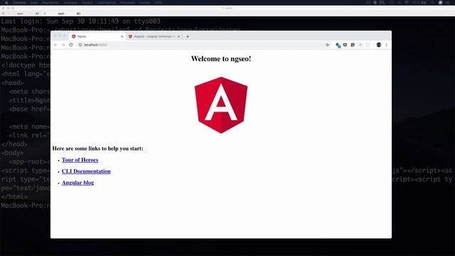 Angular & SEO - Making Angular 6 Single-Page Web Apps Search-Engine Friendly смотреть онлайн