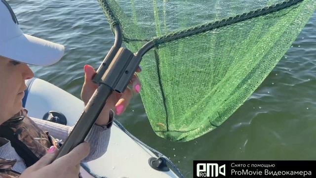 Ириклапервый судак у супруги