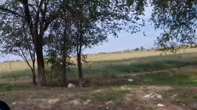 Едем в Елтай. ул. Шабалова. Теплицу забросили похоже. ... Посмотрим. 3 09 2023. смотреть онлайн