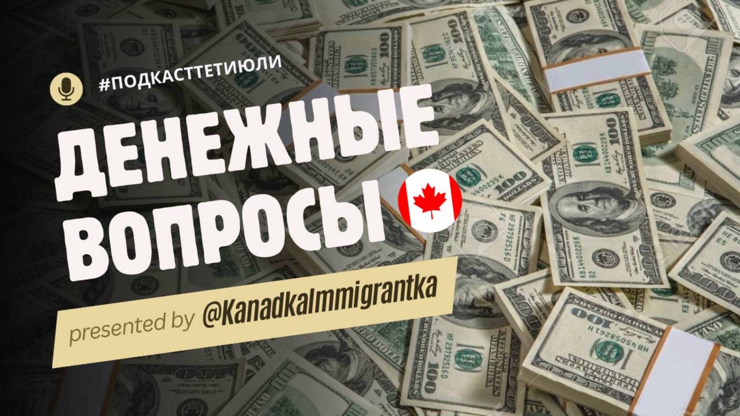 #ПодкастТетиЮли Ep5 Денежные вопросы, переводы, красный коридор, санкции | Канадские Возвращенцы