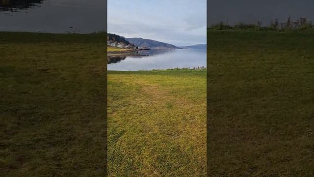Детская площадка смотреть онлайн