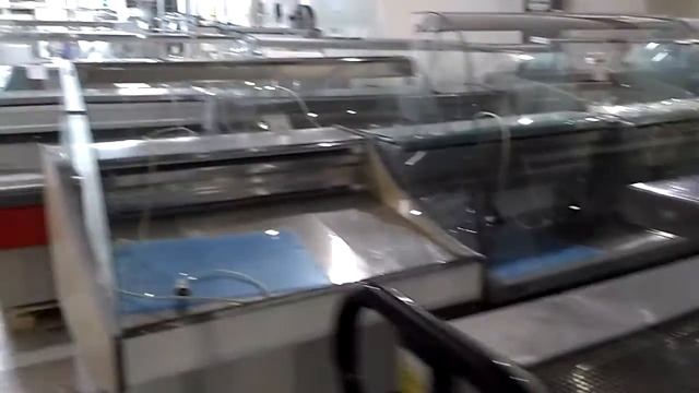 Обзорная экскурсия по торговому залу, рассказываем о холодильных витринах смотреть онлайн