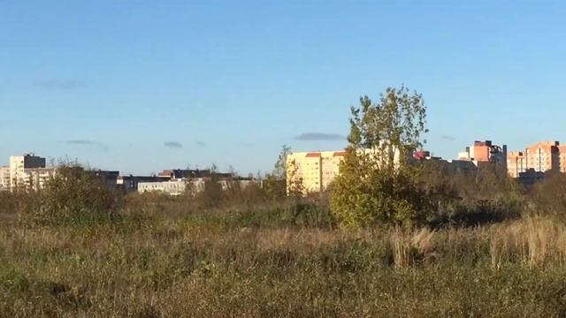 Гатчина, мкр. Аэродром: самолёт-памятник МиГ-21, садики.. Вид с ул. Старая Дорога. 09.10.2016, 15:3 смотреть онлайн