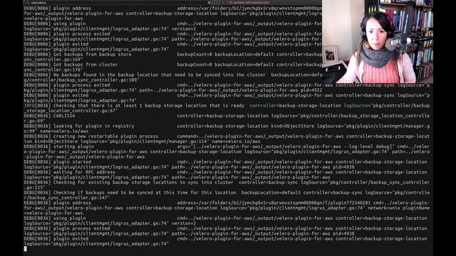 Learn from our maintainer: build/run/test your Velero code locally and in cluster смотреть онлайн
