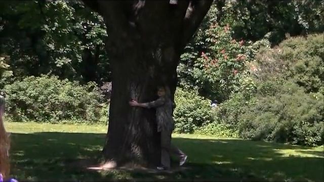 В БОТАНИЧЕСКОМ САДУ НА ПРОСПЕКТЕ МИРА..wmv смотреть онлайн