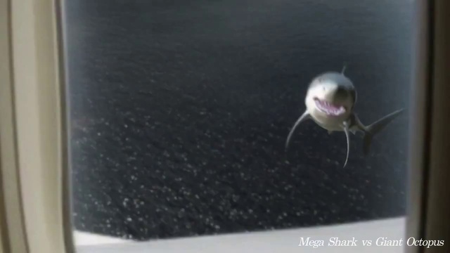 Акула атакует! - supercut смотреть онлайн