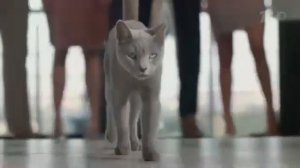 Реклама Шеба - Май 2021