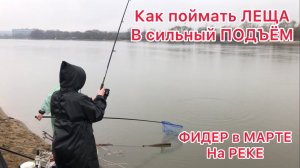 Рыбалка на ФИДЕР в МАРТЕ / Как поймать ЛЕЩА в СИЛЬНЫЙ ПОДЪЁМ ???