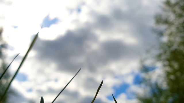ЛОВКОСТЬ РУК САМВЕЛА И НИКАКОГО МОШЕННИЧЕСТВА смотреть онлайн