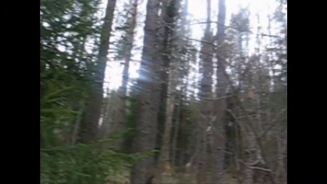 Лес и речка смотреть онлайн