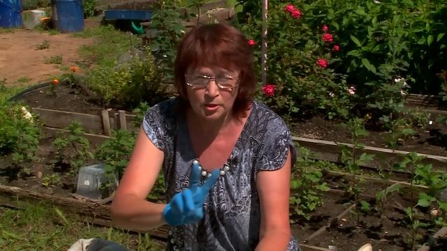 Способы борьбы с мучнистой росой смотреть онлайн