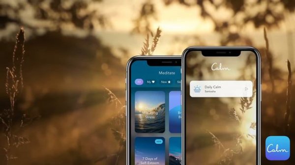 Daily Calm | 10 Minute Mindfulness Meditation | Santosha
