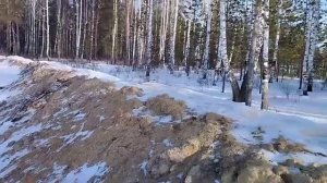 охота за золотыми самородками!!!