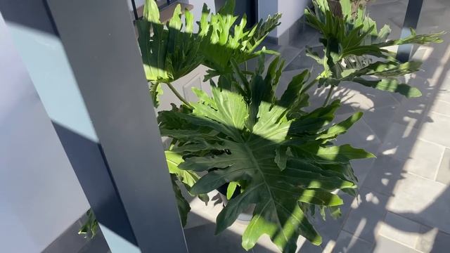 ВСЁ! ТАК БОЛЬШЕ НЕЛЬЗЯ ?? Я НА ДИЕТЕ!!!