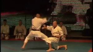 Непобедимая держава - Фудокан-Шотокан каратэ