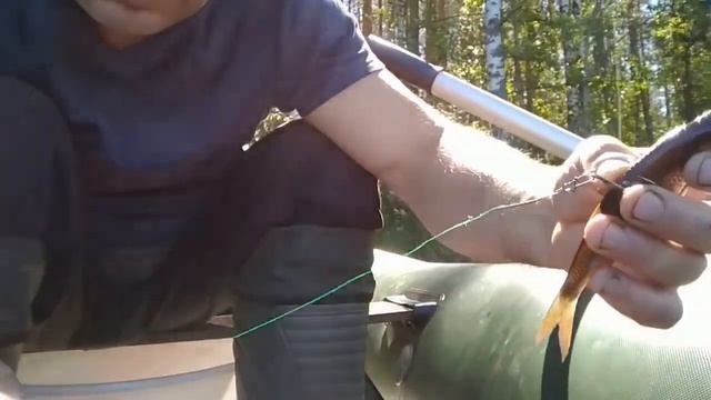 Для начинающих Ловля Щуки на живца как ловить на живца с лодки Как поймать щуку на кружки Fishing смотреть онлайн