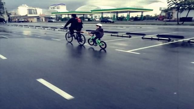 Гейтор-гейтор-алигейтор смотреть онлайн