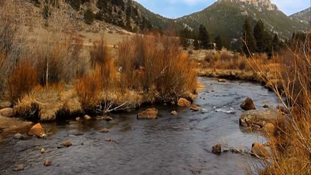 СЯДЕМ С ОТЦОМ НА КРЫЛЕЧКЕ ВДВОЕМ