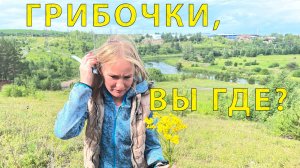 Наш первый поход за грибами в 2023 году. Локация Арамиль (Свердловская обл.)