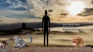 Lemur Species Size Comparison in 2022 | Primates Size comparison in 2022 | @InfoPrimates