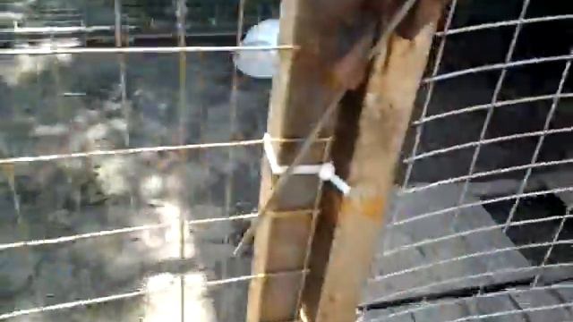 6 месяц Грея в доме смотреть онлайн